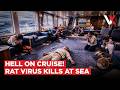 No Port, No Escape! Deadly Hantavirus Kills 3 On MV Hondius Cruise, Locks 100s Off Africa | VERTEX