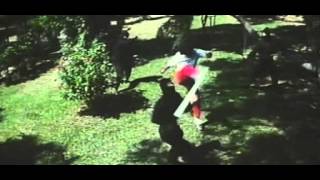 Ninja in the Killing Field Trailer