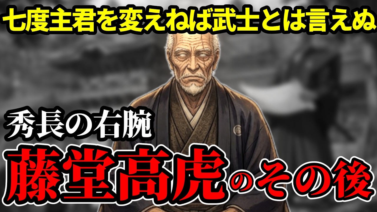 藤堂高虎のその後|秀長から家康まで仕えた裏切り者の真意【豊臣兄弟】