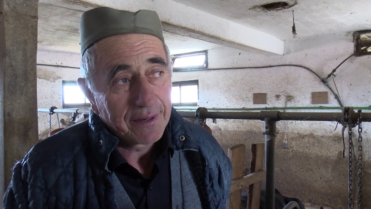 Šumadijski prag: Ljuljaci