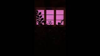 Ian Brill's Voed: vestibule of electric lights