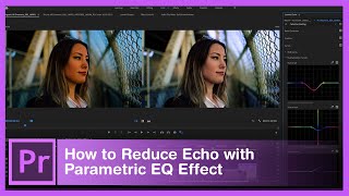 Part 34: How to Reduce Echo with Parametric EQ Effect in Adobe Premiere Pro|Beginner to Advance user