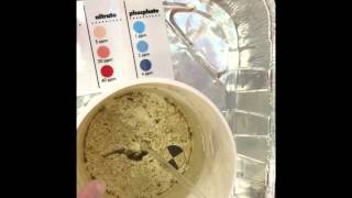 Water Quality Testing