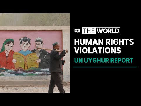 U. N. Says china may have committed crimes against humanity in xinjiang | the world