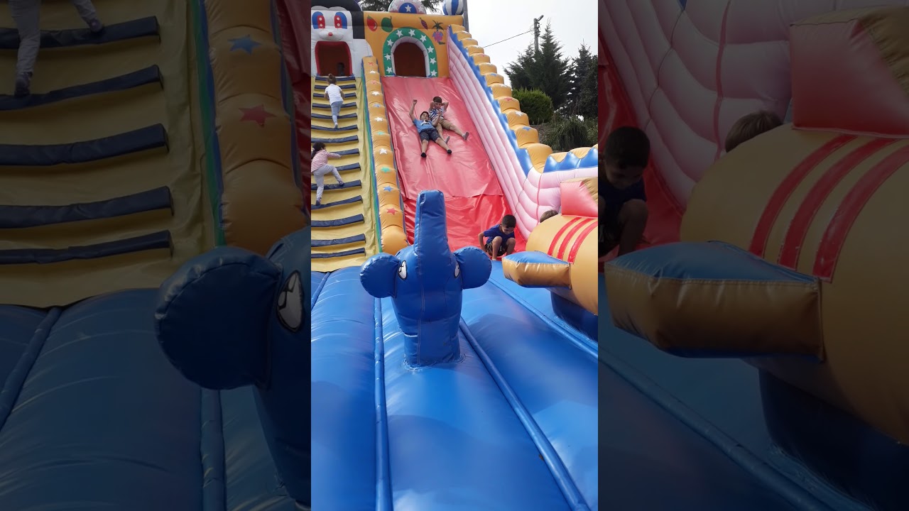 Ordu Da Yarali Karaca Tedavi Altina Alindi