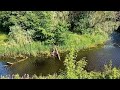 Pirita nature