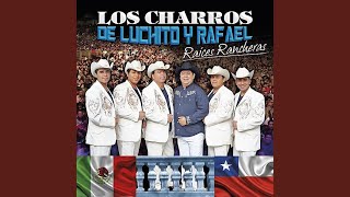 Video thumbnail of "Los Charros de Luchito y Rafael - Por lo Que Yo Te Quiero / Un Adicto a Ti"