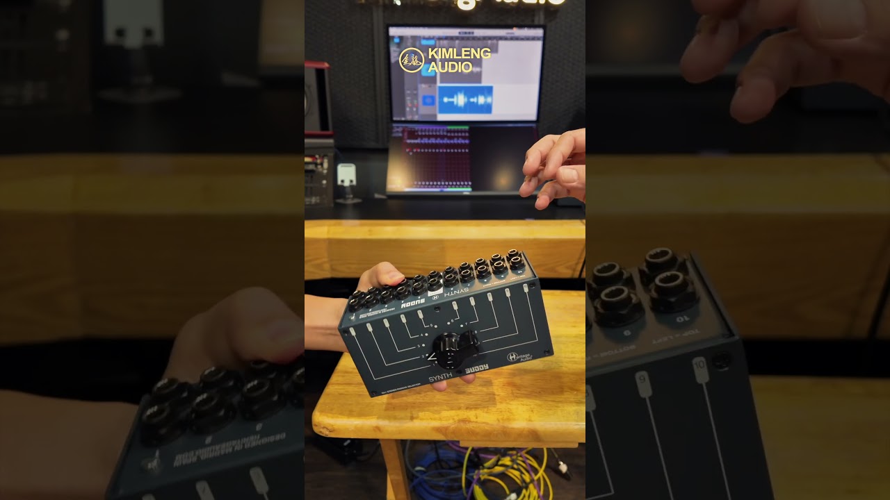 Heritage Audio SYNTH BUDDY #kimlengaudio #heritageaudio