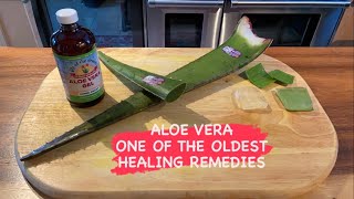 ALOE VERA - ONE IF OLDEST HEALING REMEDIES by Wendy Gilker 205 views 2 years ago 11 minutes, 22 seconds