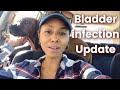 Antibiotics and Recovery Update | Severe Dog Bladder Infection