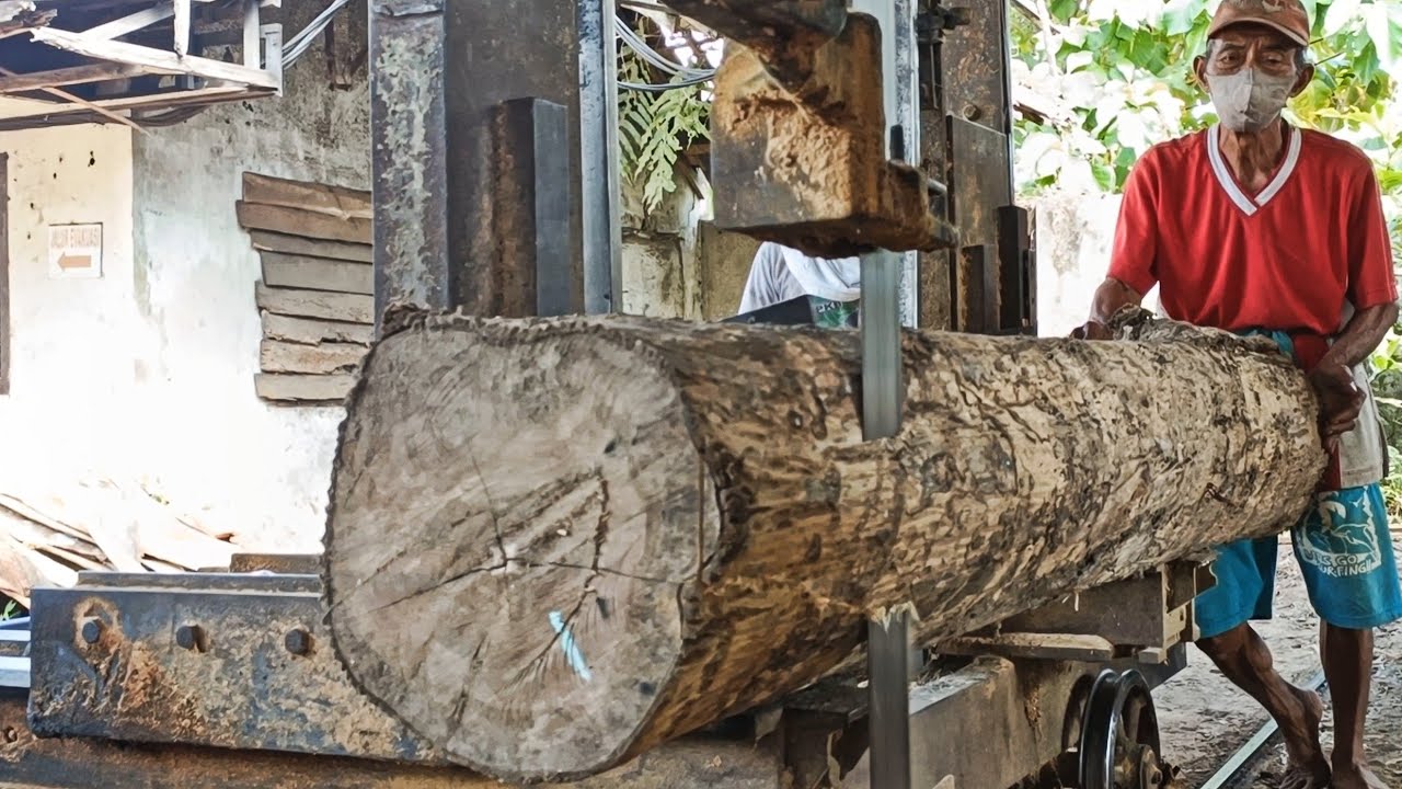 Sawing good dry teak wood full of beautiful grain - YouTube