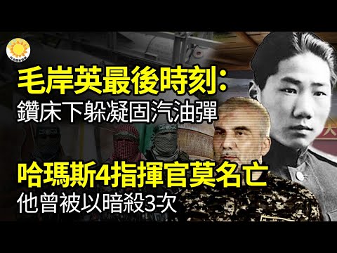 🔥毛岸英的最后时刻：钻床下躲凝固汽油弹；哈玛斯4指挥官莫名阵亡 !“他”曾被以色列暗杀3次；中国再现疫情海啸 官方躺平；5万人伦敦示威 抵制以哈战争激起反犹暴行