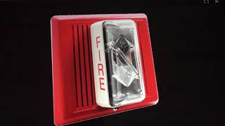 EST Integrity Horn Strobe Code 3 Sound Effect 1