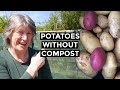 How To Grow Potatoes in Grass Clippings | NO compost required!
