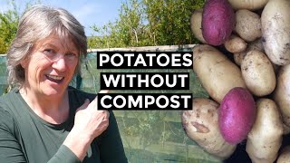 how to grow potatoes in grass clippings | no compost required!