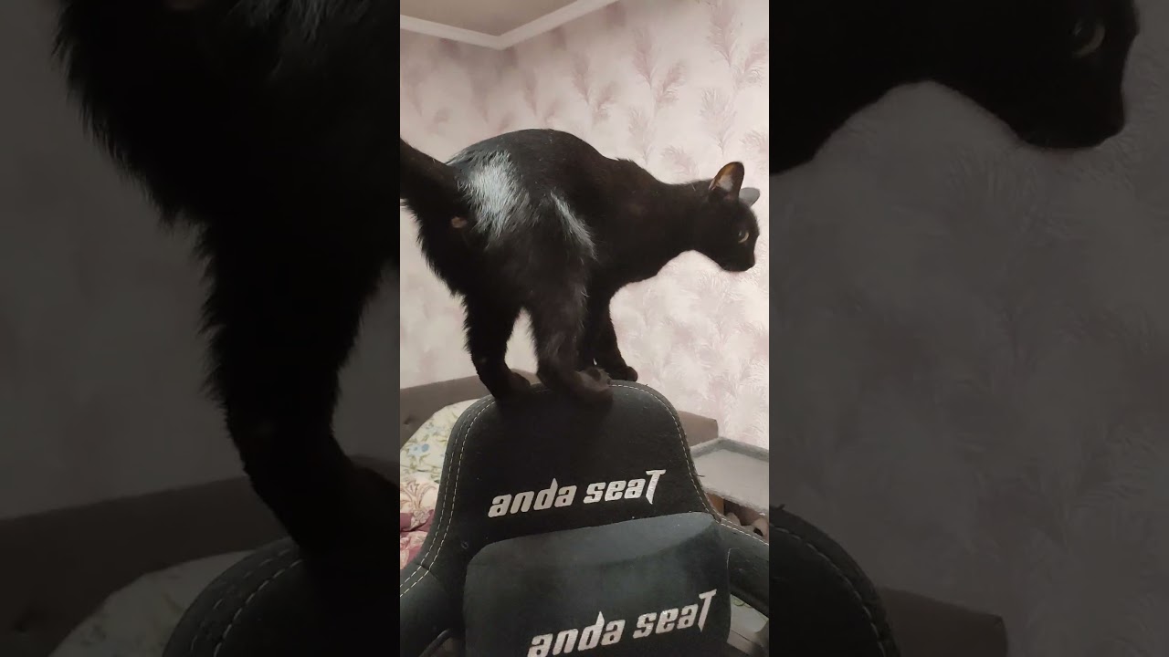 Проводов слишком много, убирай  ) 