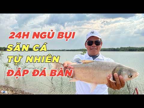 24 Tiếng Ngủ Bờ Ngủ Bụi Săn Cá Tại Bãi Câu Siêu Đẹp Đập Đá Bàn | Chung nguyễn Fishing