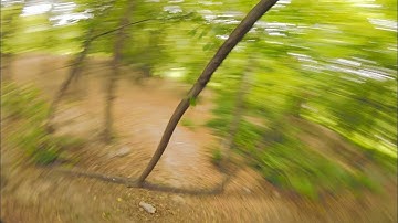 Forest Proximity | FPV Freestyle