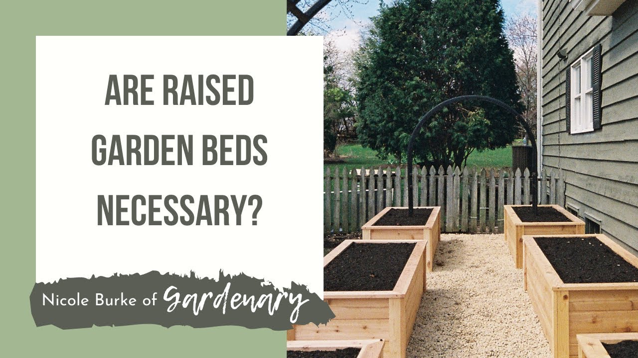Why I Recommend Gardening in Raised Garden Beds for a Kitchen Garden