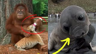 Top Unbelievable Animal Moments Caught On Camera