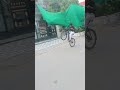 cycle stunt🚴 #cycle #weele #stunt #viral #shorts #video anujstunts7