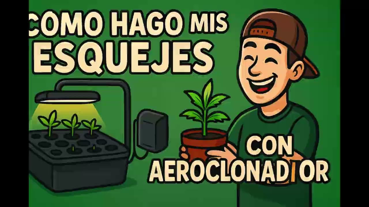 Aeroclonador:mi aliado para esquejes sin errores#cannabiseducation#indoorplants#cannabisdaily#grow 