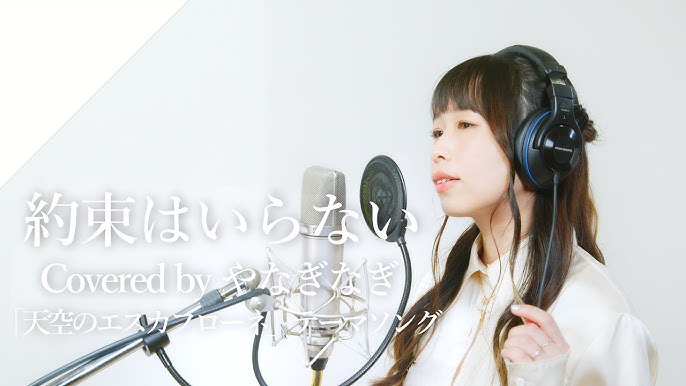 $an-.postimg.org imagesize:1278x849c Pimpandhost ) やなぎなぎ - 約束はいらない from CrosSing/TVアニメ「天空のエスカフローネ」OPテーマ - YouTube