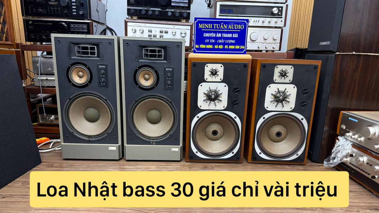 Affordable 12-inch Japanese speakers: Pioneer CS-T88 and Pioneer