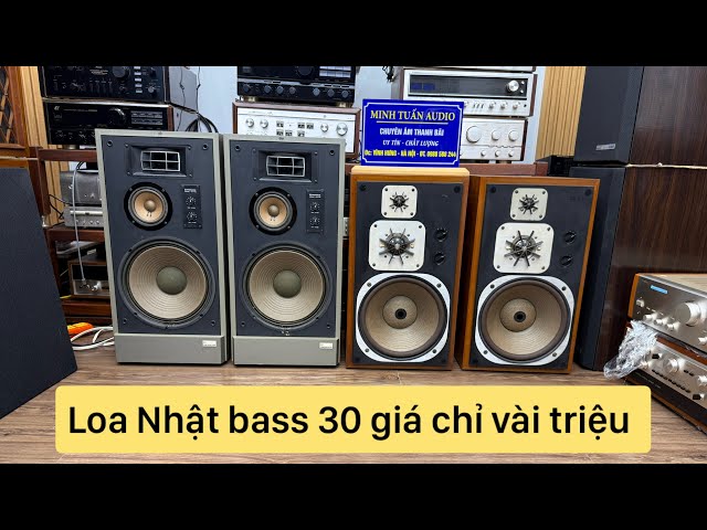 Affordable 12-inch Japanese speakers: Pioneer CS-T88 and Pioneer