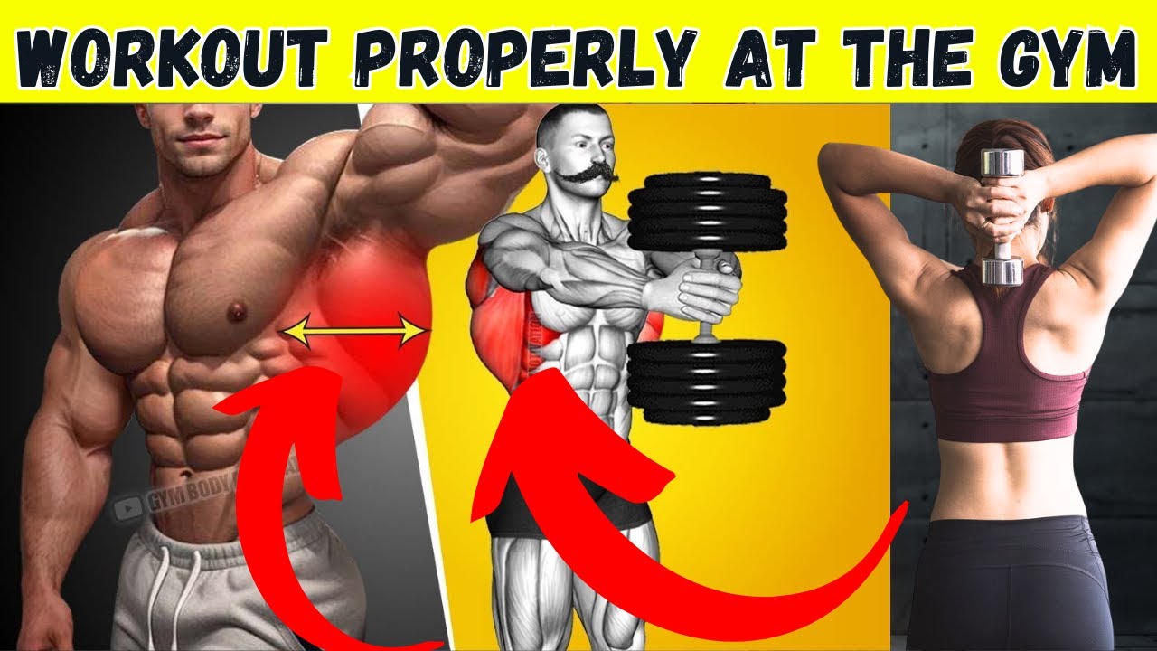 how to workout properly at the gym - YouTube