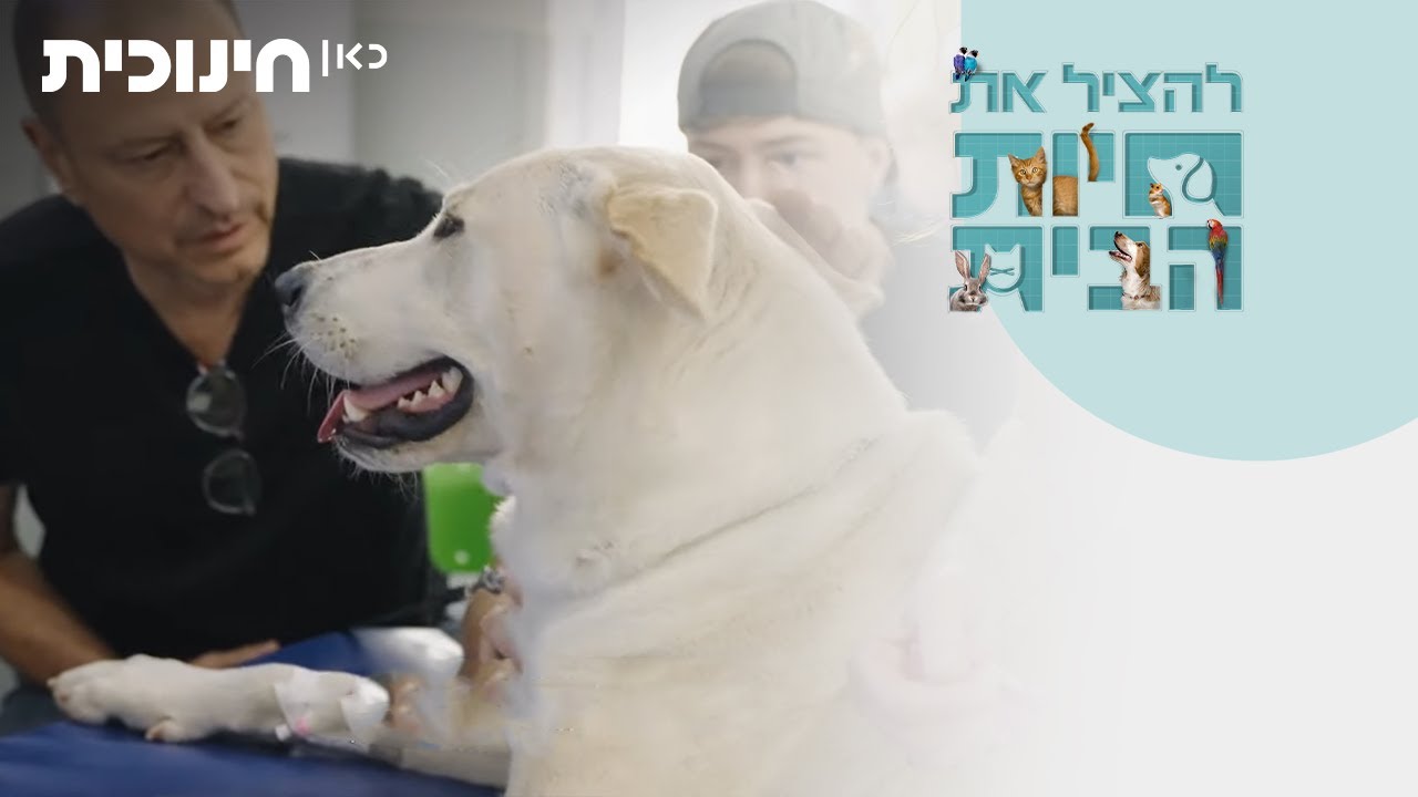 להציל את חיות הבית | יש לנו החלטה גדולה לקבל - הצצה מתוך פרק 4