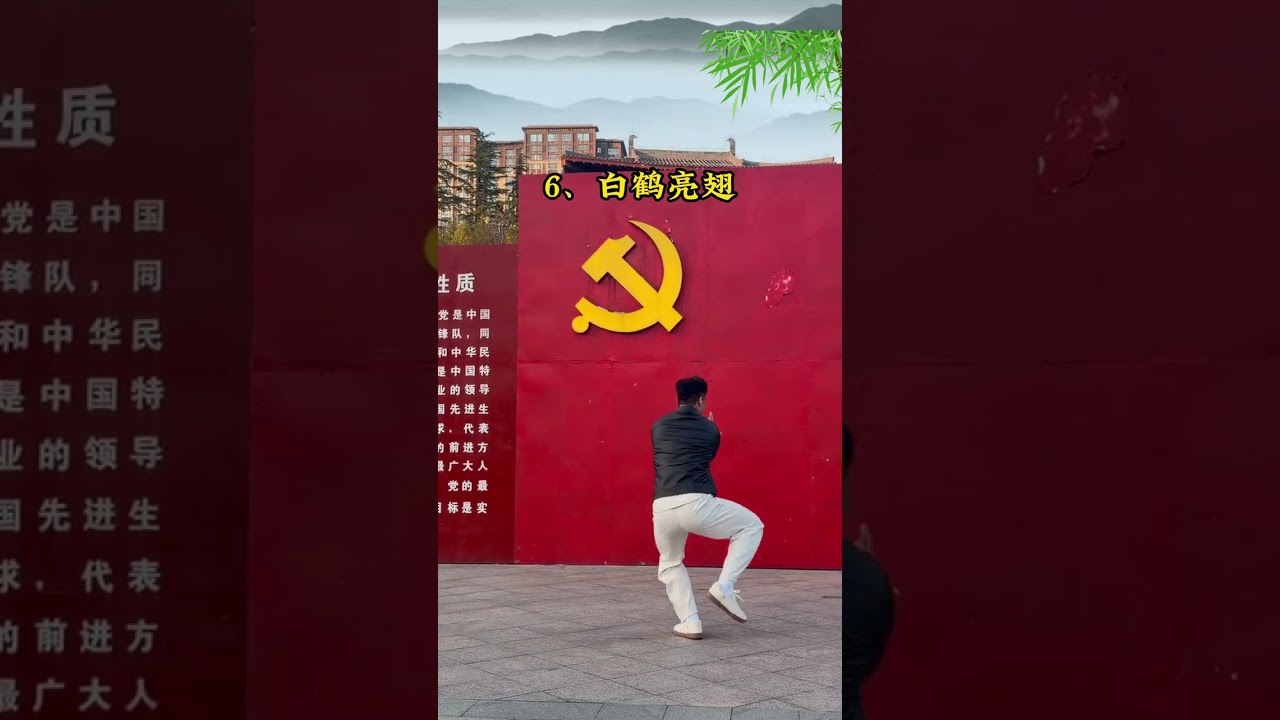 Master Chen Style Tai Chi's 18 Key Movements for Beginners