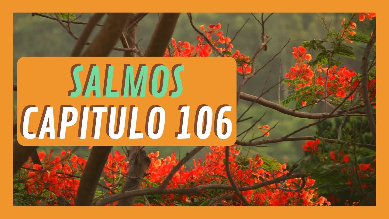 salmos-capitulo-106-pdt-audio-biblia-youtube