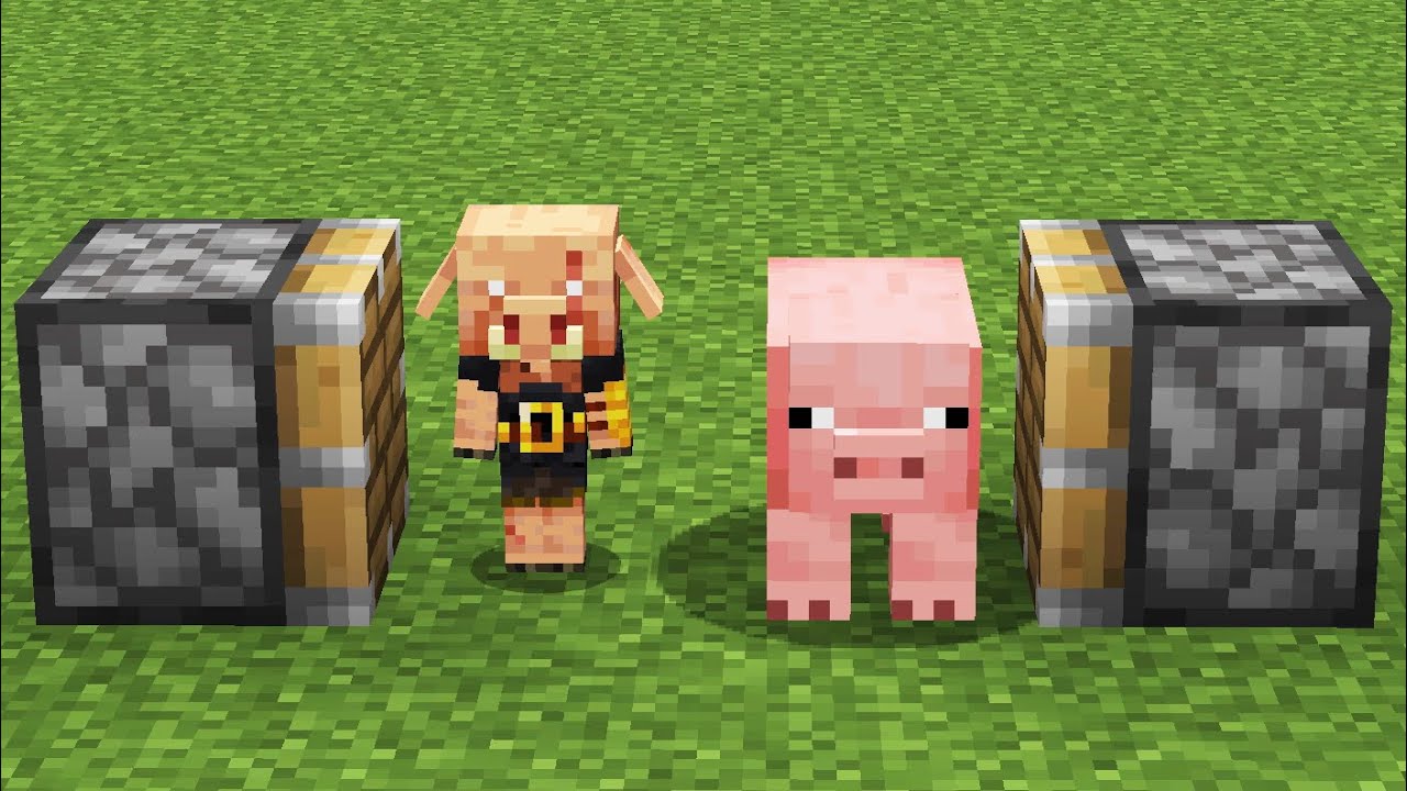 baby piglin + pig = YouTube