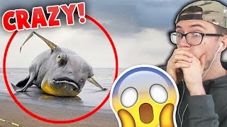 10 Strange Sea Creatures Discovered After Tsunamis Reaction