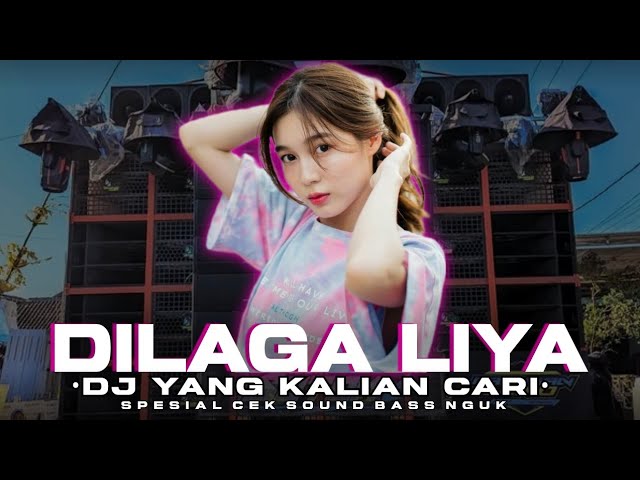 DJ PARTY CEK SOUND | DILAGA LIYA NEW VERSION BASS NGUK class=