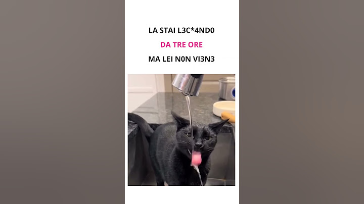 Quando stai facendo quella cosa, non succede quello che volevi, ma tu continui! 😂😂😂 #memeita #meme
