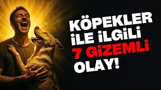 KÖPEKLERLE İLGİLİ 7 GİZEMLİ OLAY! İLGİNÇ BİLGİLER KEDİ VİDEOLARI TELEPATİ KOMİK GİZEMLİ SIRLARI