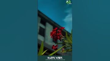 University of Colombo Faculty of Science