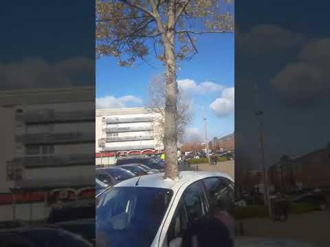 Wie man ein Auto in einem Baum pflanzen | Geheimnis hinter dem Autounfall