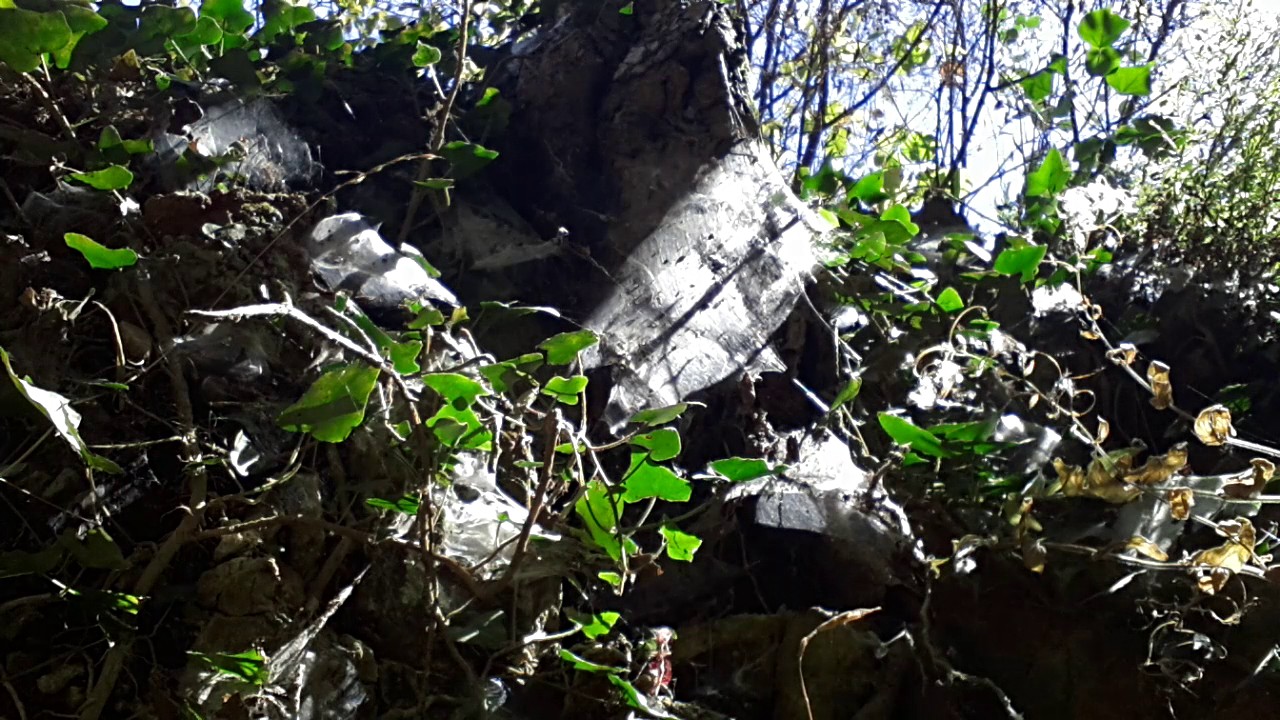 Bafra Darboğaz Köyü Acı Su Çeşmesinde İlginç Olay...