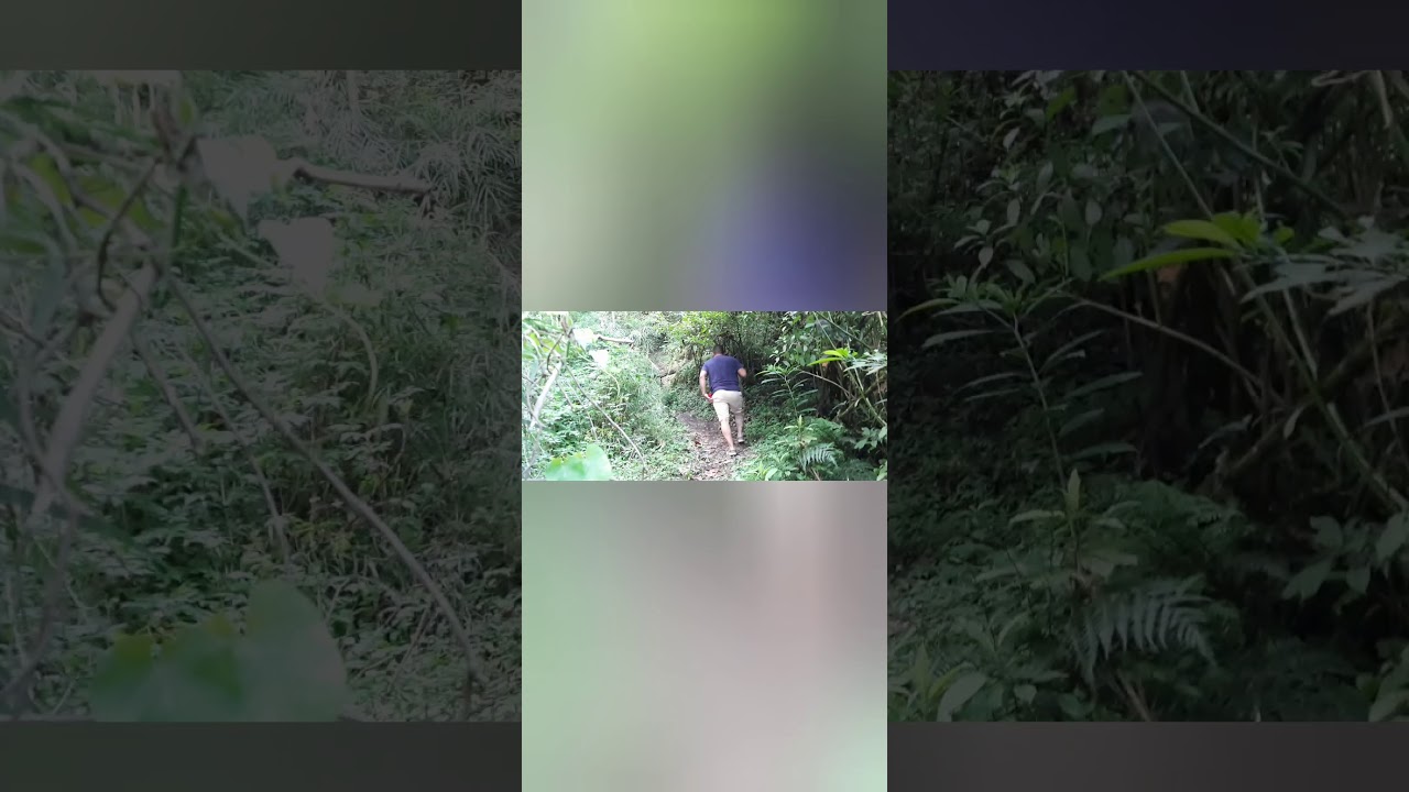 Finca Chichoy, Tecpan Guatemala