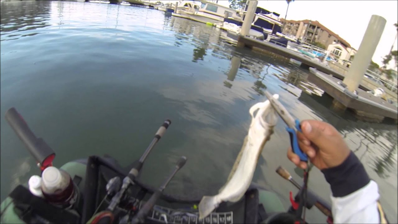 FLOAT TUBE FISHING the LOS ALAMITOS BAY 2014 YouTube