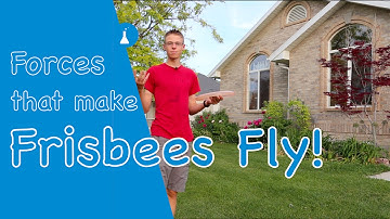 What makes a Frisbee Fly?