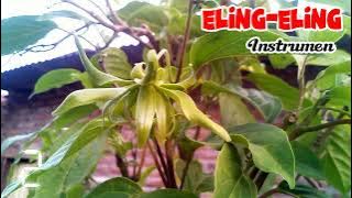 Instrumen langgam Jawa - Eling-Eling || music by Fahmi Munthaha