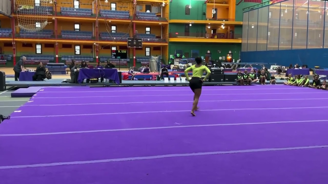 Bria’s excel bronze routine (9.3)