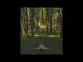 [free] indie folk acoustic type beat - "only human"