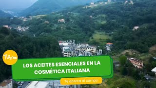 Los aceites esenciales en la cosmética Italiana - TvAgro por Juan Gonzalo Angel Restrepo
