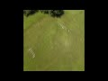 FPV Tree 2