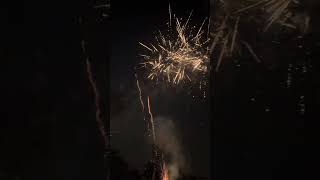 Wanted Dead Or Alive Firework